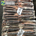 seafrozen whole round squid argentina calamary squid illex 200-300g